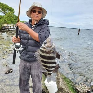 Meet your Posher, Benjamin